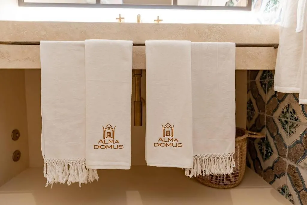 Alma Domus Ancient House Recently Opened Apartment Amalfi